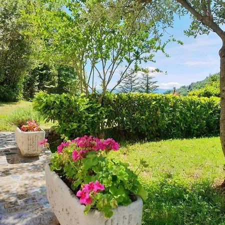 דירה & Mikleus *